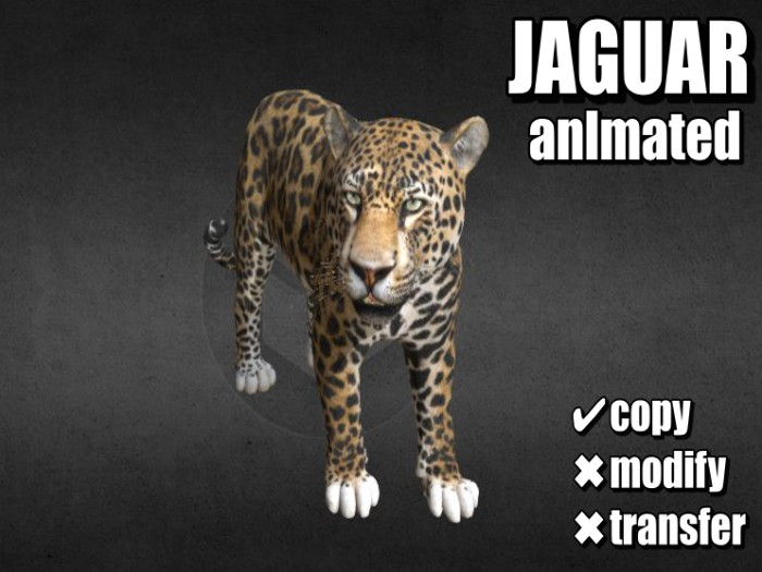 .:Bellart Studio:.JAGUAR follow me