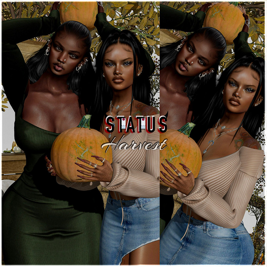 STATUS ~ Harvest