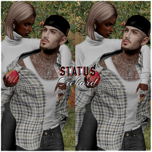STATUS ~ Orchard
