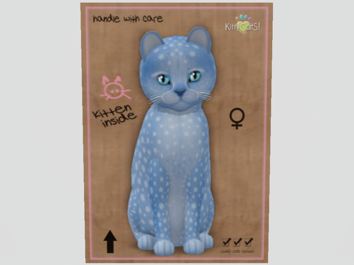 2020 Cheetah! Cheetah! - Blueberry F Normal
