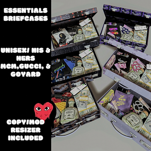 Essentials Briefcase - Girl Pack