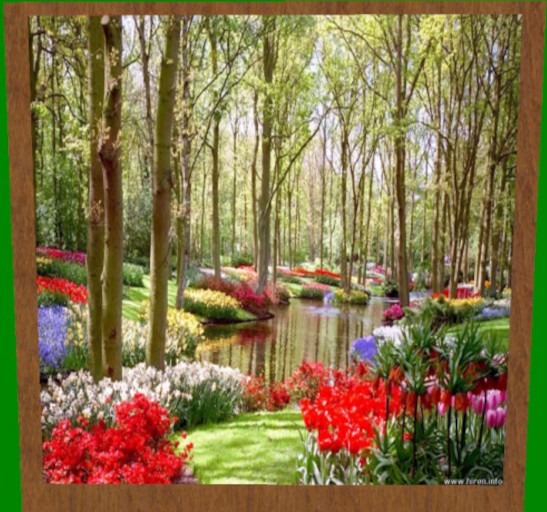 Floral Gardens