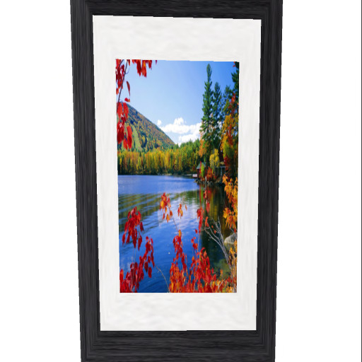 Autumn Sky