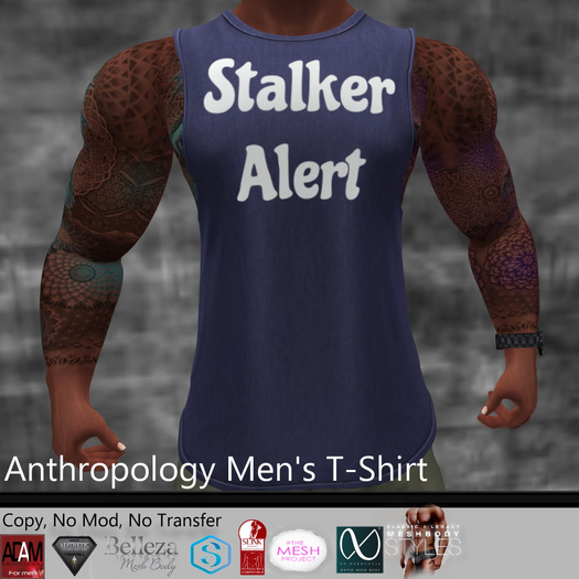 Stalker Alert Men's T-Shirt (MATL)