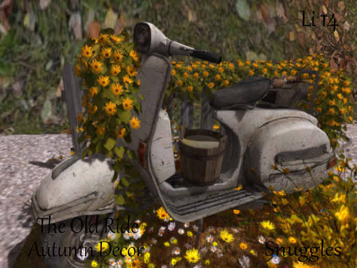 The Old Ride Autumn Decor By Snuggles 