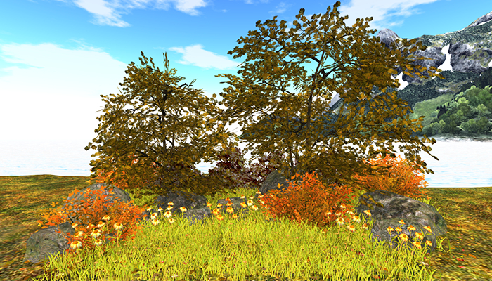 Jad Garden - Autumn Maple patch with yellow flowers