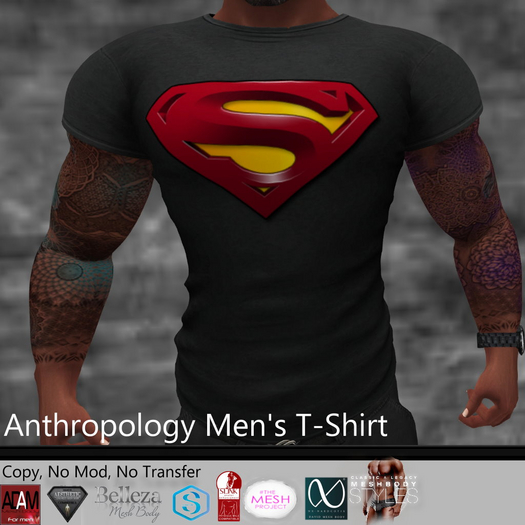 Superman Men's T-Shirt (MNTL)