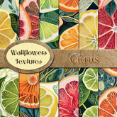 *Wallflowers* Citrus