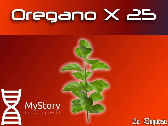 Oregano x 25 - [MyStory]