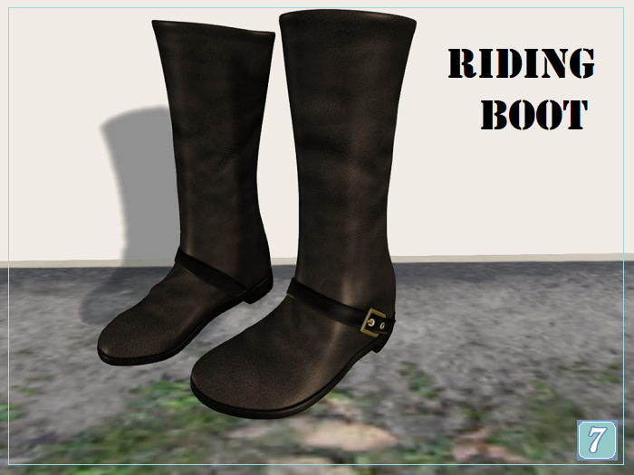Riding Boot ~7~