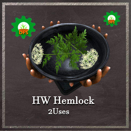 DFS HW Hemlock Textur