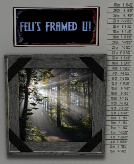Feli Frame lg blk/gry sunlight forest