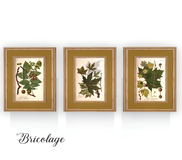 Bricolage Three Framed Leaves Prints