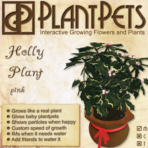 PlantPet Seed [Holly Plant *Pink*]