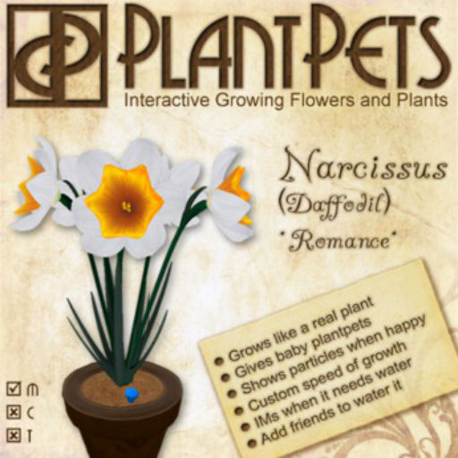 PlantPet Seed [Narcissus *Romance*]