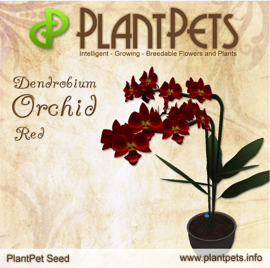 PlantPet Seed [Dendrobium Orchid *Red*]