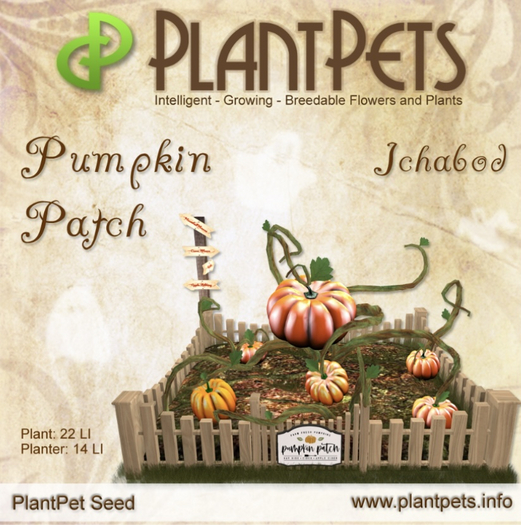 Plantpet seed pumpkin patch ichapod