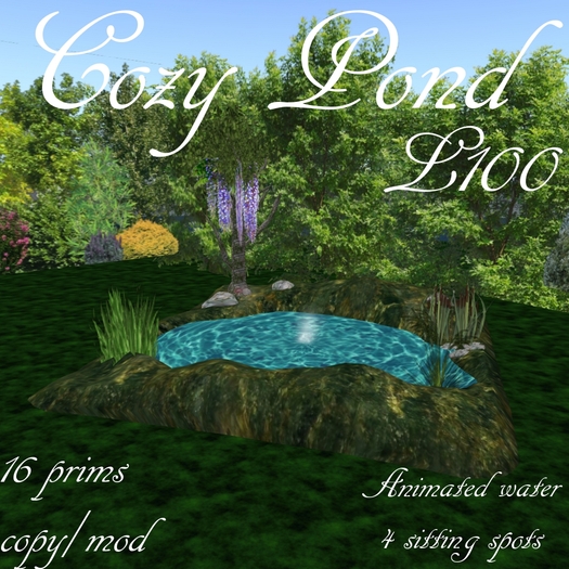 Cozy Pond