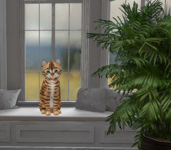 KittyCatS-Fur: Toyger - Tan-Size: Normal-Girl   