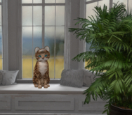 KittyCatS-  Fur: Bengal - Sorell- Size: Normal-Boy