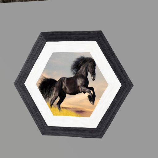 Black Stalion