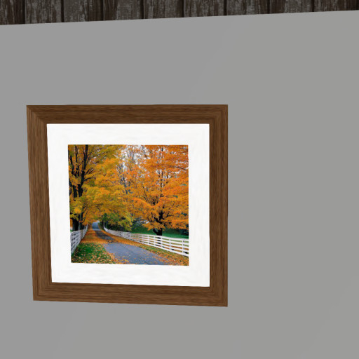 Autum Beauty