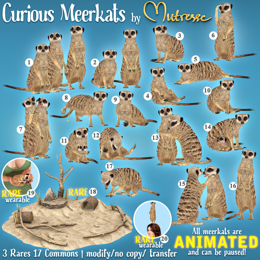 19. Mutresse-Curious Meerkats RARE