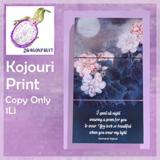 DRAGONFRUIT - Kojouri Print 