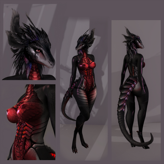 NSeeke - Dragon mod
