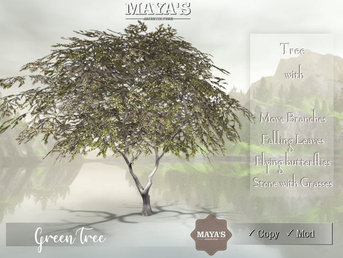 Tree | Green Tree
