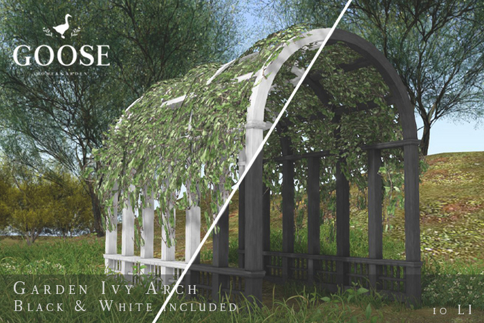 GOOSE - Garden Ivy Arch Black & White