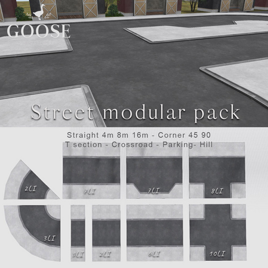 GOOSE - Street modular pack