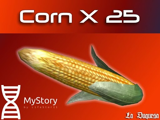 Corn x 25 - [MyStory]