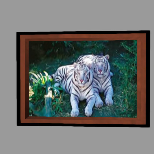 white tigers