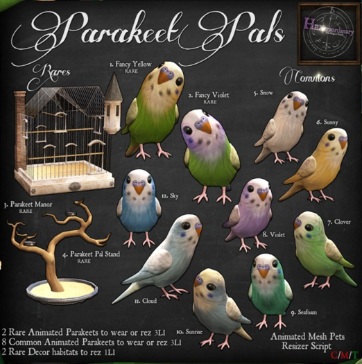 2. *HEXtraordinary* Parakeet Pal - Fancy Violet - RARE