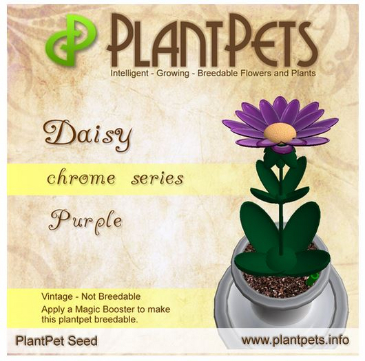 PlantPet Seed [Daisy *Chrome Purple*]