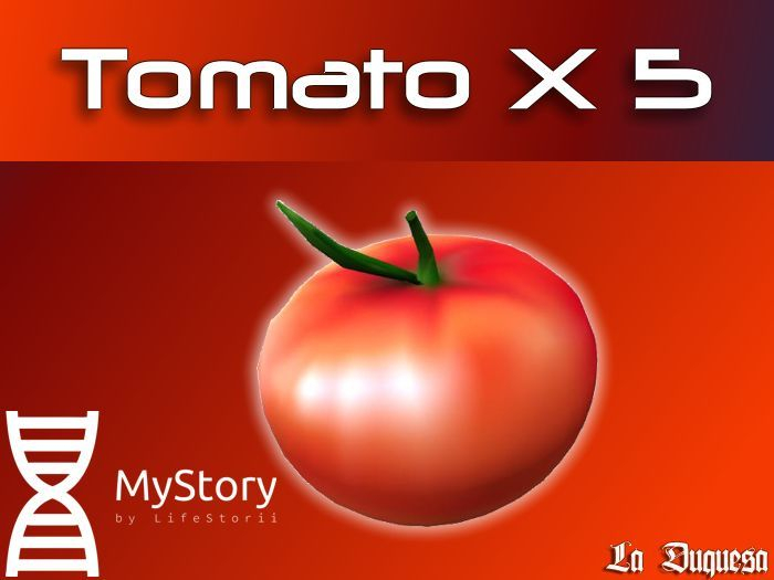 Tomato x 5 - [MyStory]