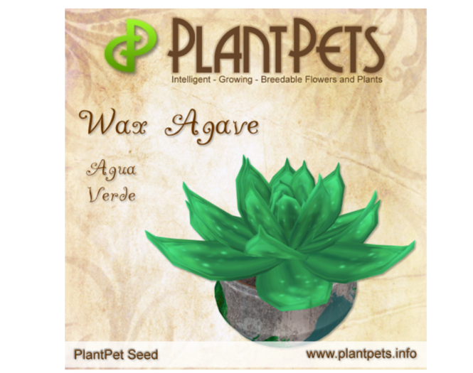 PlantPet Seed [Wax Agave *Agua Verde*]