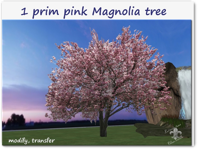 1 prim pink Magnolia MT
