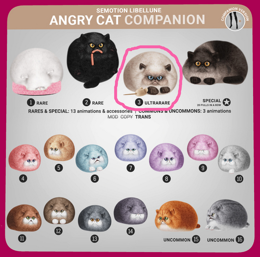 SEmotion Libellune Angry Cat Companion ULTRARARE 03
