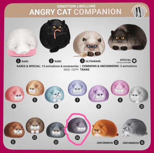 SEmotion Libellune Angry Cat Companion COMMON 14