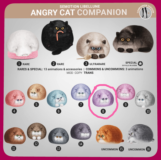 SEmotion Libellune Angry Cat Companion COMMON 08