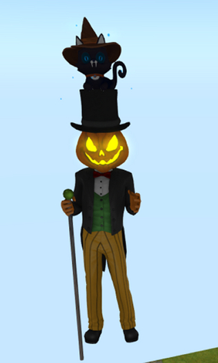 23 pumpkin cat spider