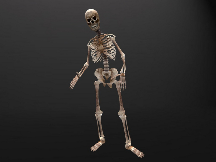 :DH: Skeleton Animesh