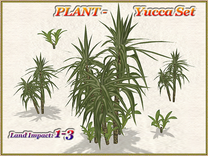 PLANT - Yucca Set (1-3LI) (Full perm)