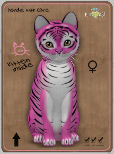 KittyCatS Box - Tiger! bubblegum - Normal - Female