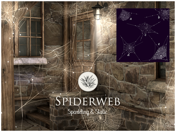 FINCA - Spiderweb SET
