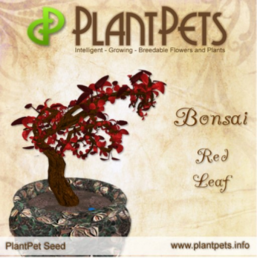 PlantPet Seed [Bonsai *Red Leaf*]