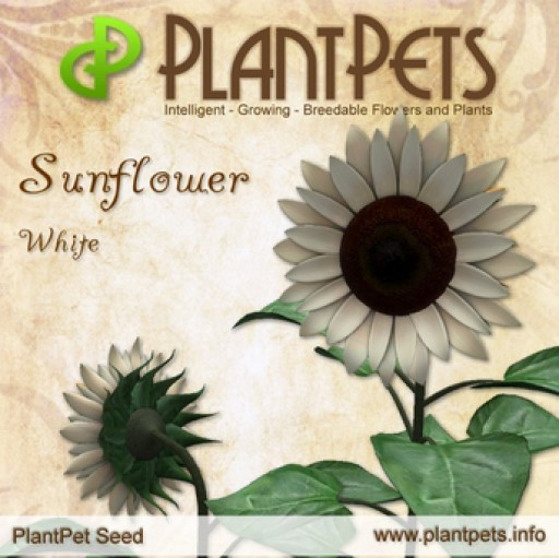 PlantPet Seed [Sunflower *White*]