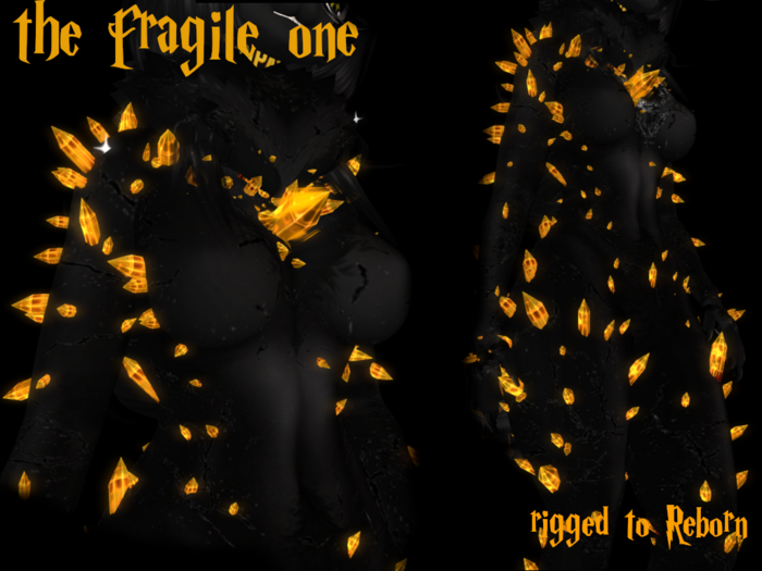 {NS} Onyx The Fragile one -Reborn-